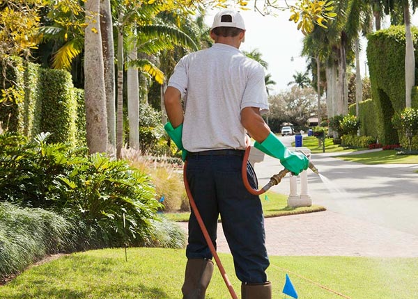 About Valley Falls KS Pest Control